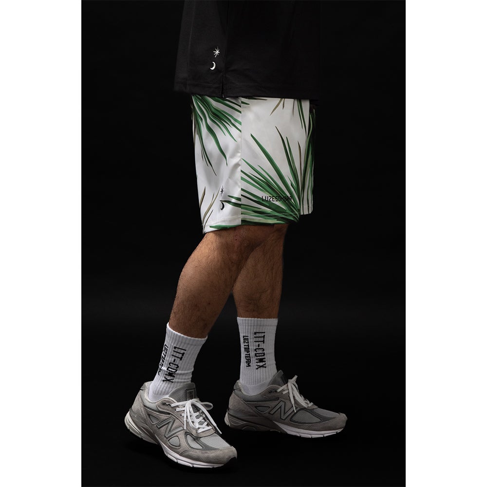 LTT SOCKS | 【公式】LUZeSOMBRA ONLINE STORE